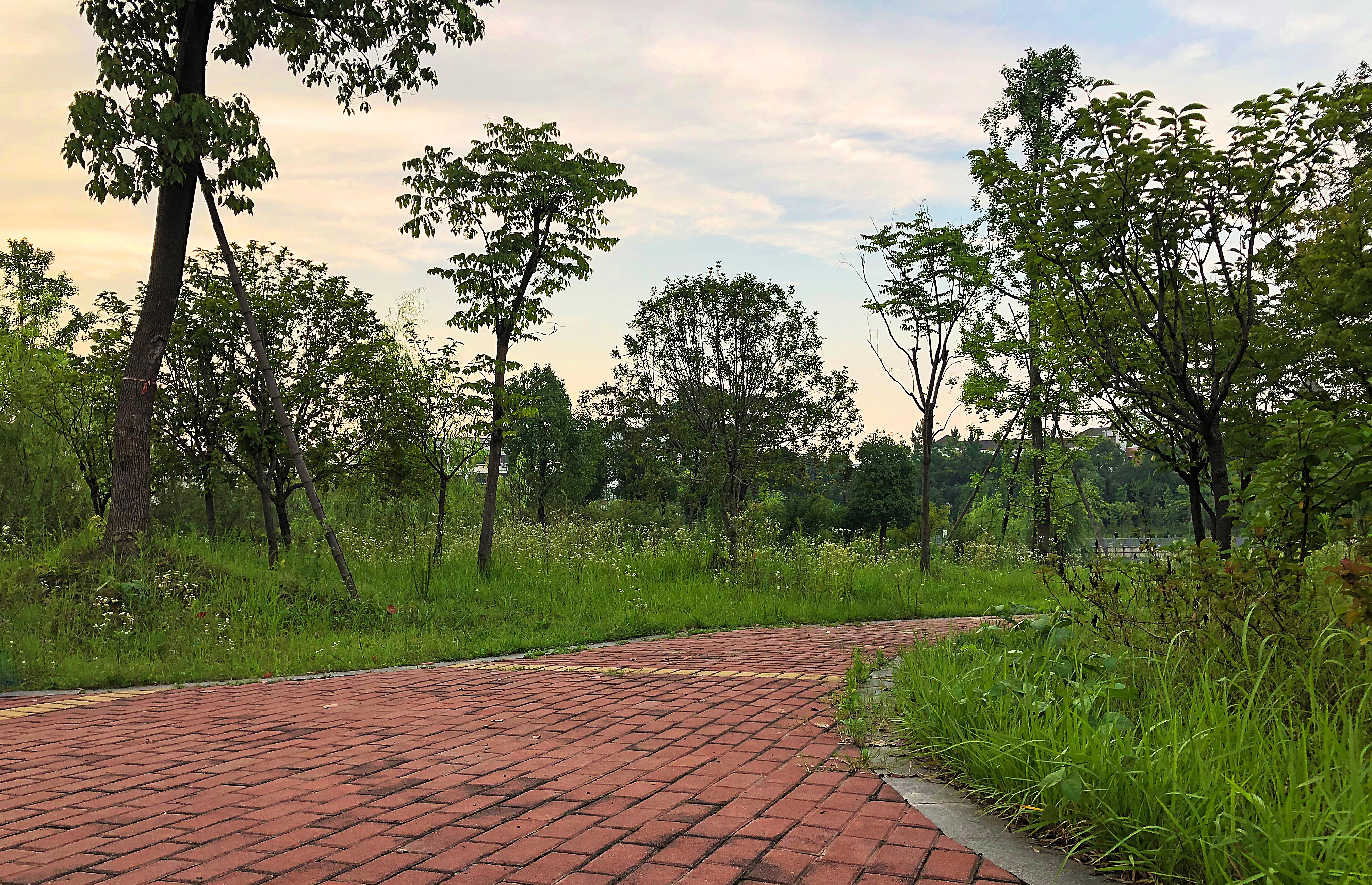 大蘇呀的個人主頁（封面預覽） - 主頁封面設置 - 站酷設計師大蘇呀原創(chuàng)素材 - 站酷ZCOOL