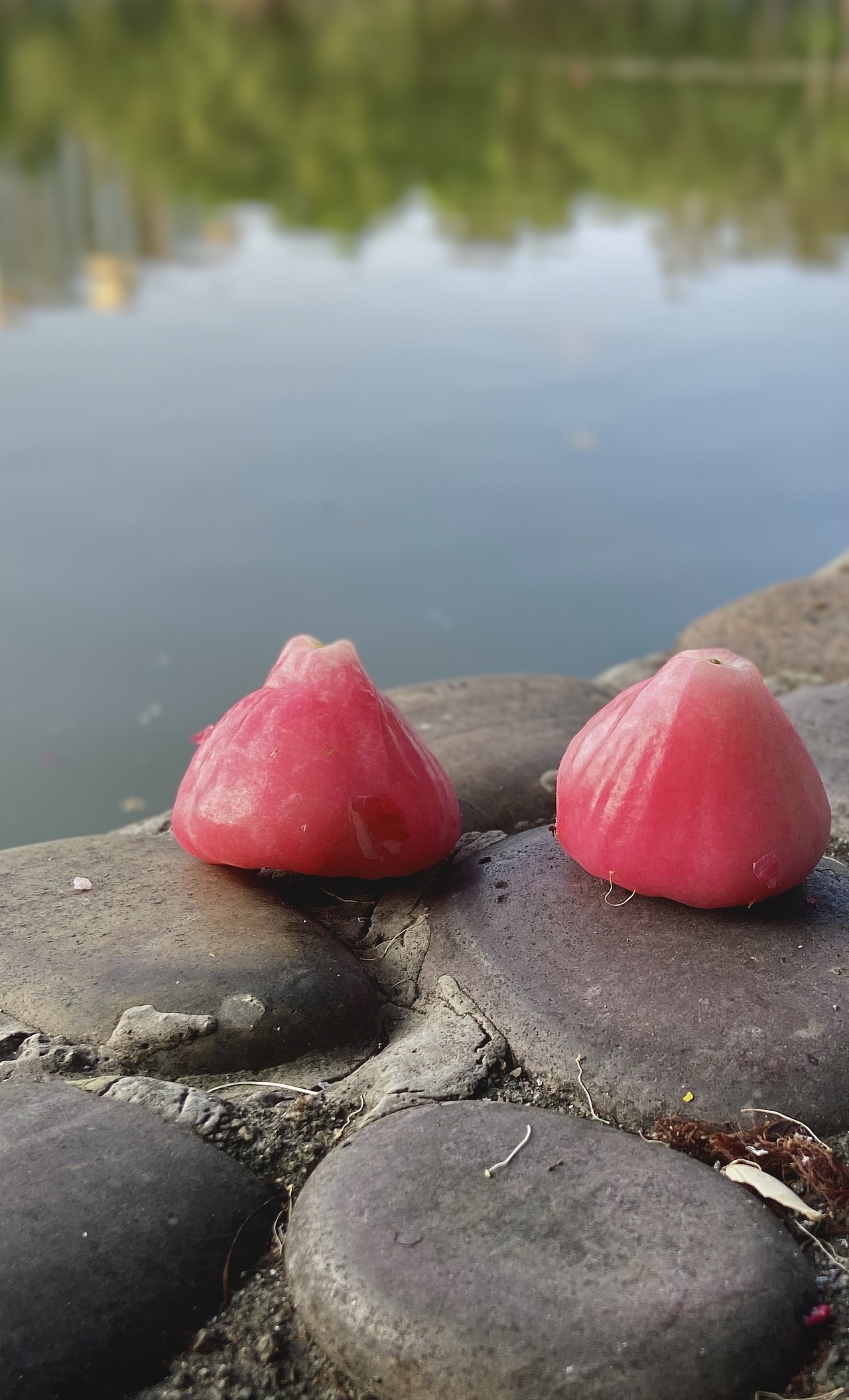 一些随拍（图ZMjI5NjcyODIw） - 人文/纪实摄影 - 站酷设计师mengyi009原创素材 - 站酷ZCOOL