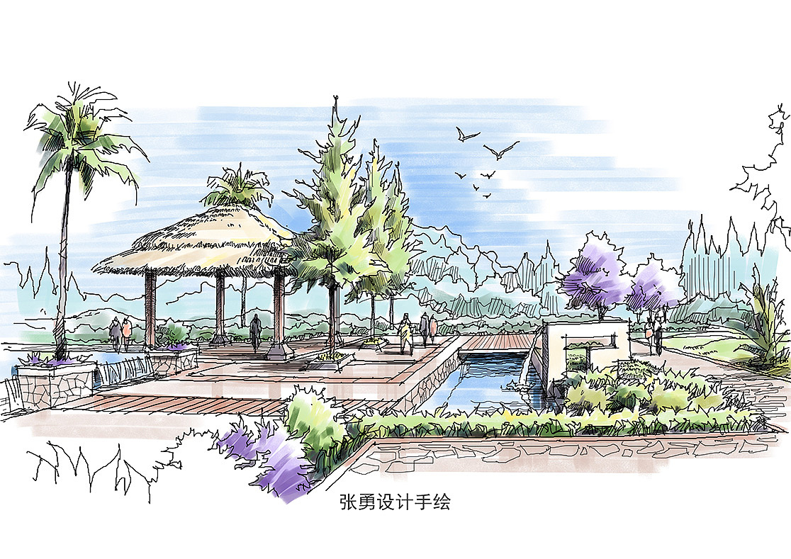景观考研手绘#景观快题手绘#园林考研手绘_张勇设计手绘-站酷zcool