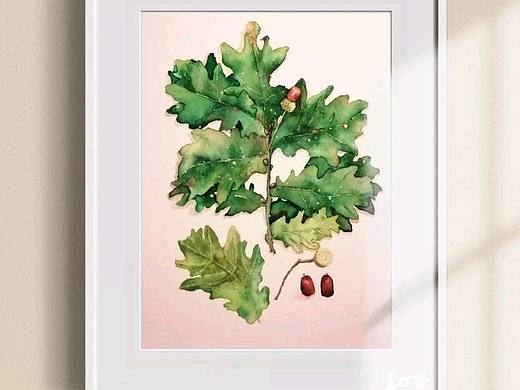 水彩小物装框系列