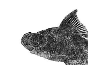 一周一练第四季