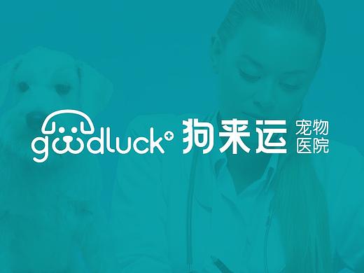 狗来运宠物医院品牌设计