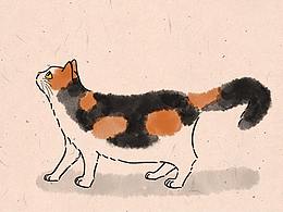 我家的喵喵，猫咪水墨风插画