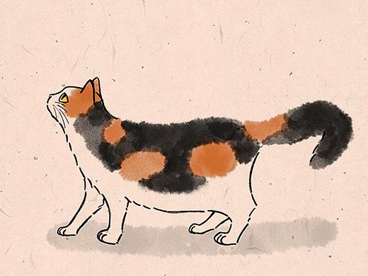 我家的喵喵，猫咪水墨风插画