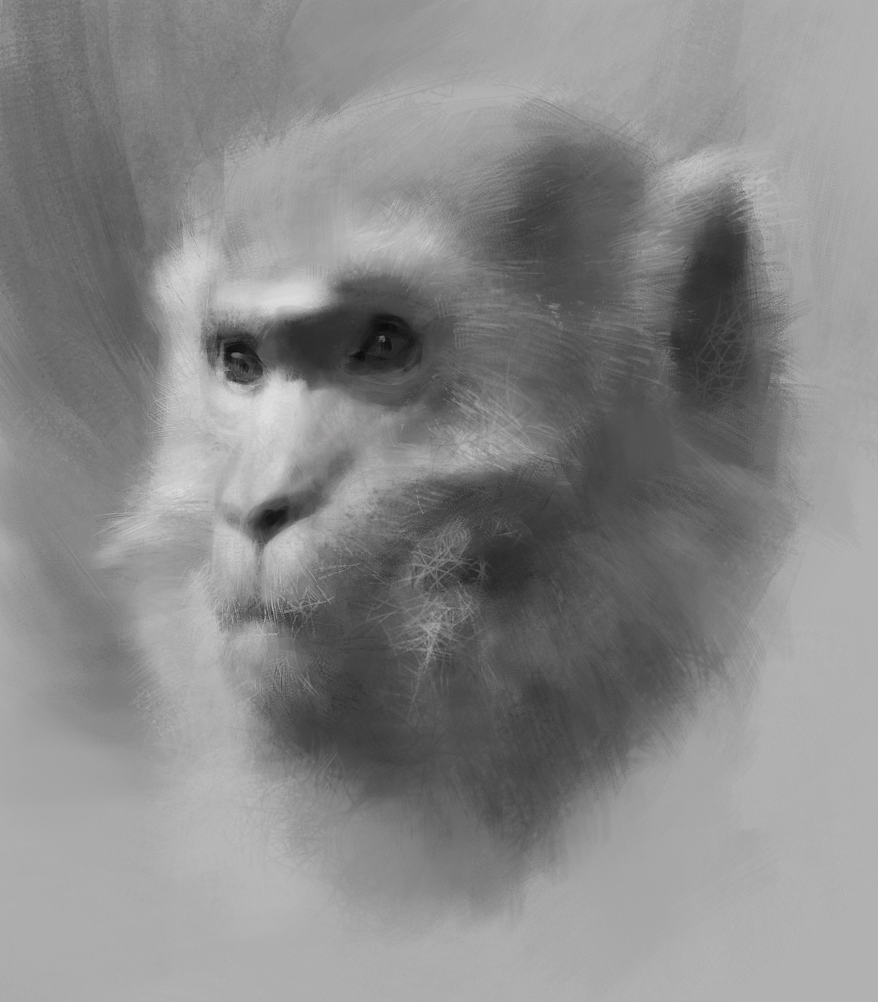 素描练习（图ZMjA0MDg3ODMy） - 创作习作 - 站酷设计师晓杰_略略略原创素材 - 站酷ZCOOL