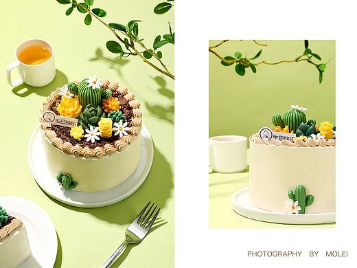 【cakeboss】多肉蛋糕