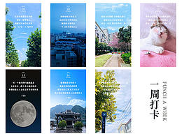 一周打卡