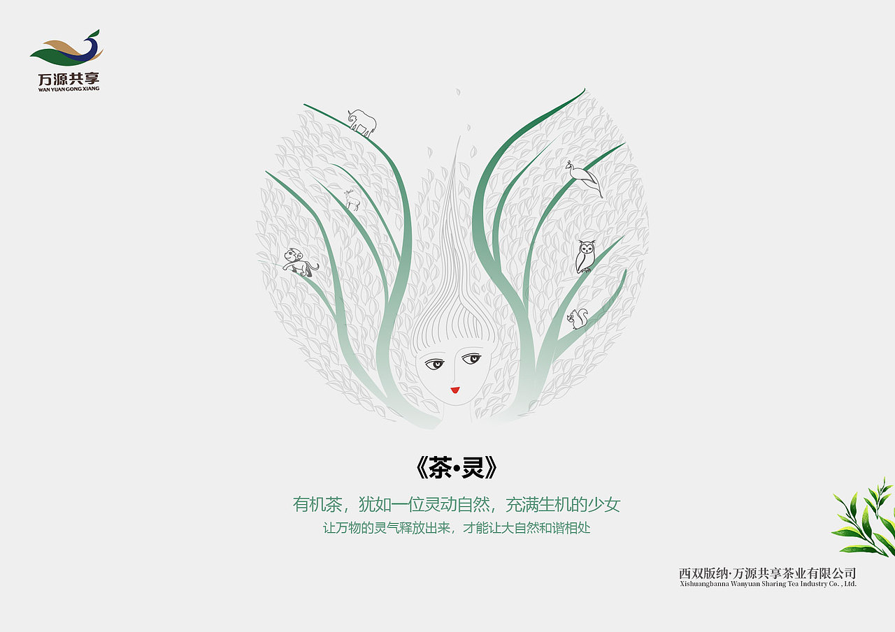 有机茶创作方案