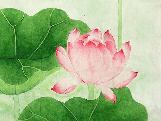 国画荷花（工笔画、写意画）