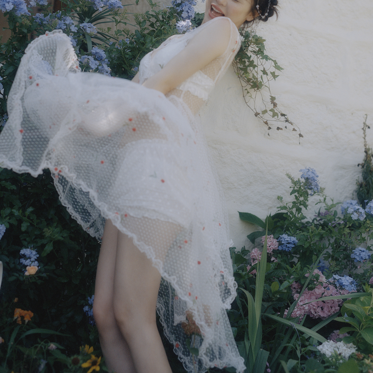 「胶片」「风来临」