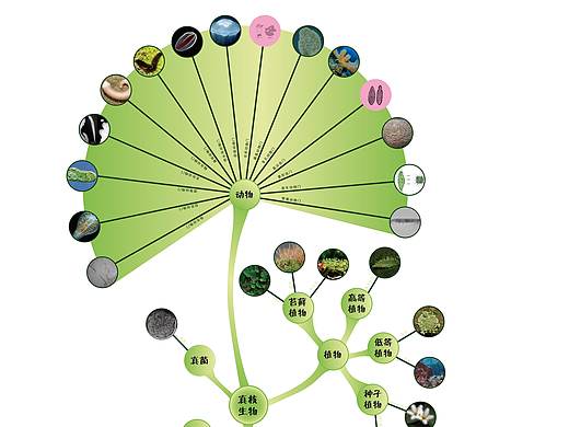 生命進(jìn)化（個(gè)人主頁-ZMzc4MTUzMzY=） - 圖案 - 站酷設(shè)計(jì)師張張佐偉原創(chuàng)素材 - 站酷ZCOOL