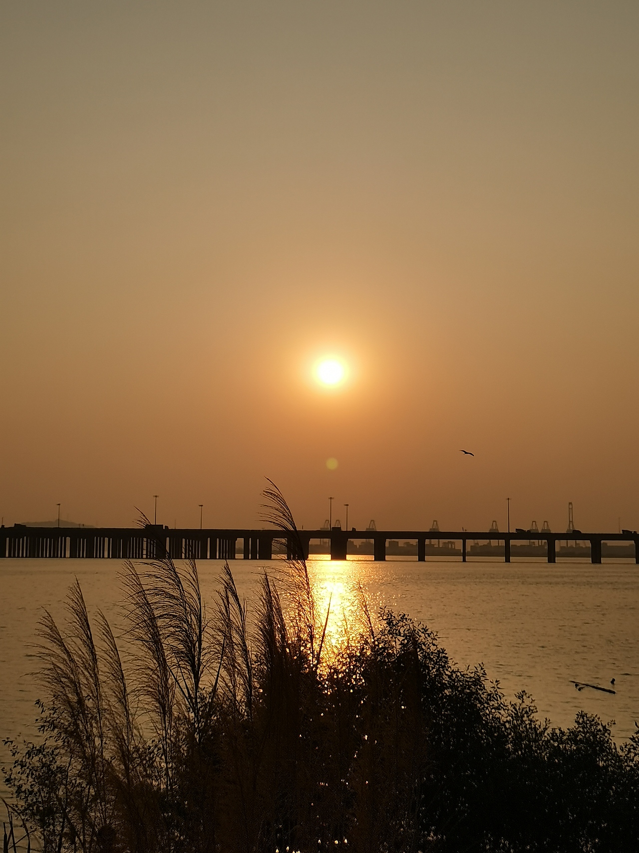 最喜日落🌅之时，似抽离于现实，浪漫，但孤寂。（图ZMjYxMTg5OTgw） - 风光摄影 - 站酷设计师阿叁叁啊原创素材 - 站酷ZCOOL