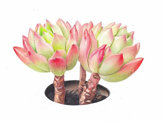 手绘（个人主页-ZMjYzMTQ4NjA=） - 绘画 - 站酷设计师Amor玲原创素材 - 站酷ZCOOL