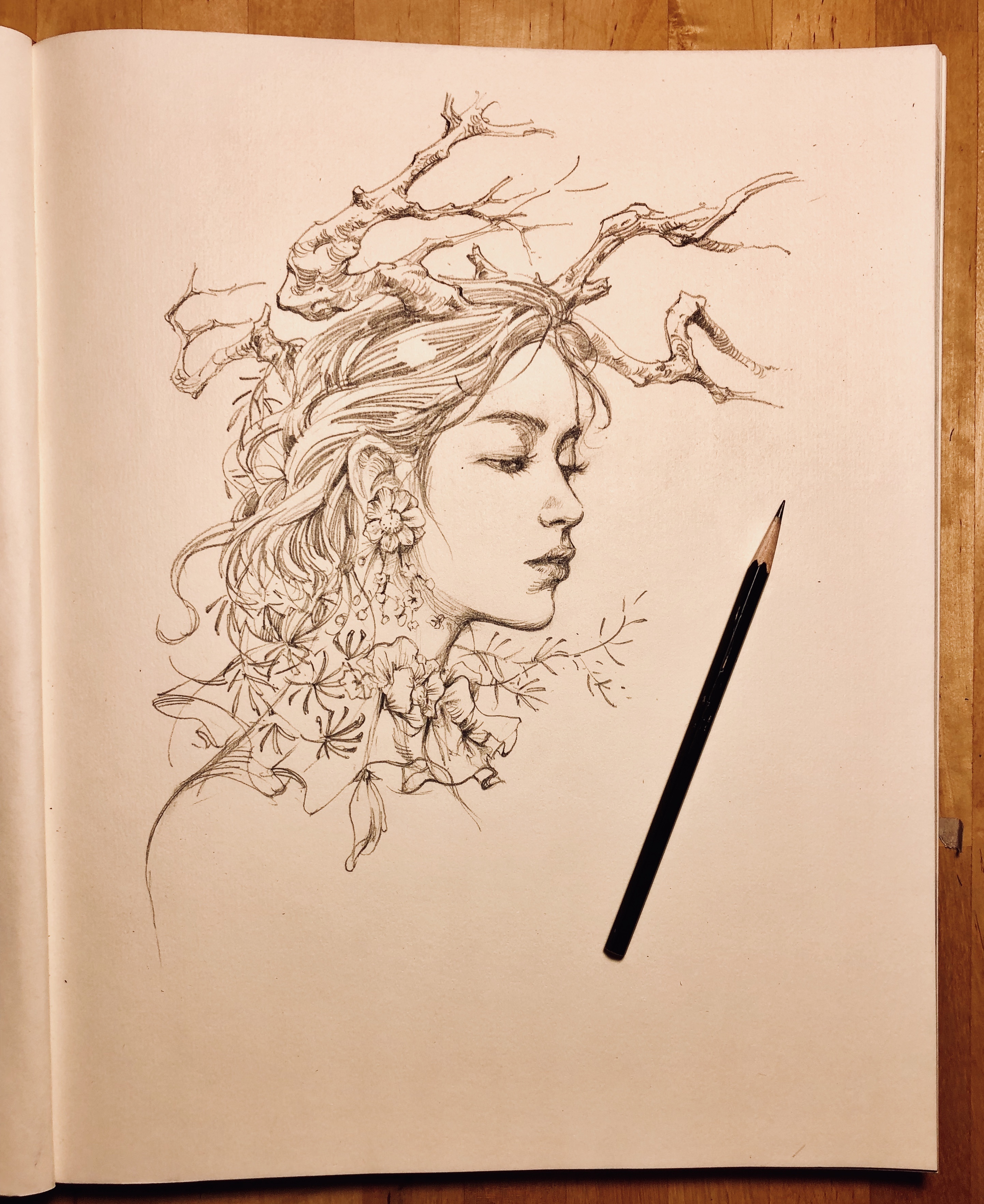 原创插画《女妖》