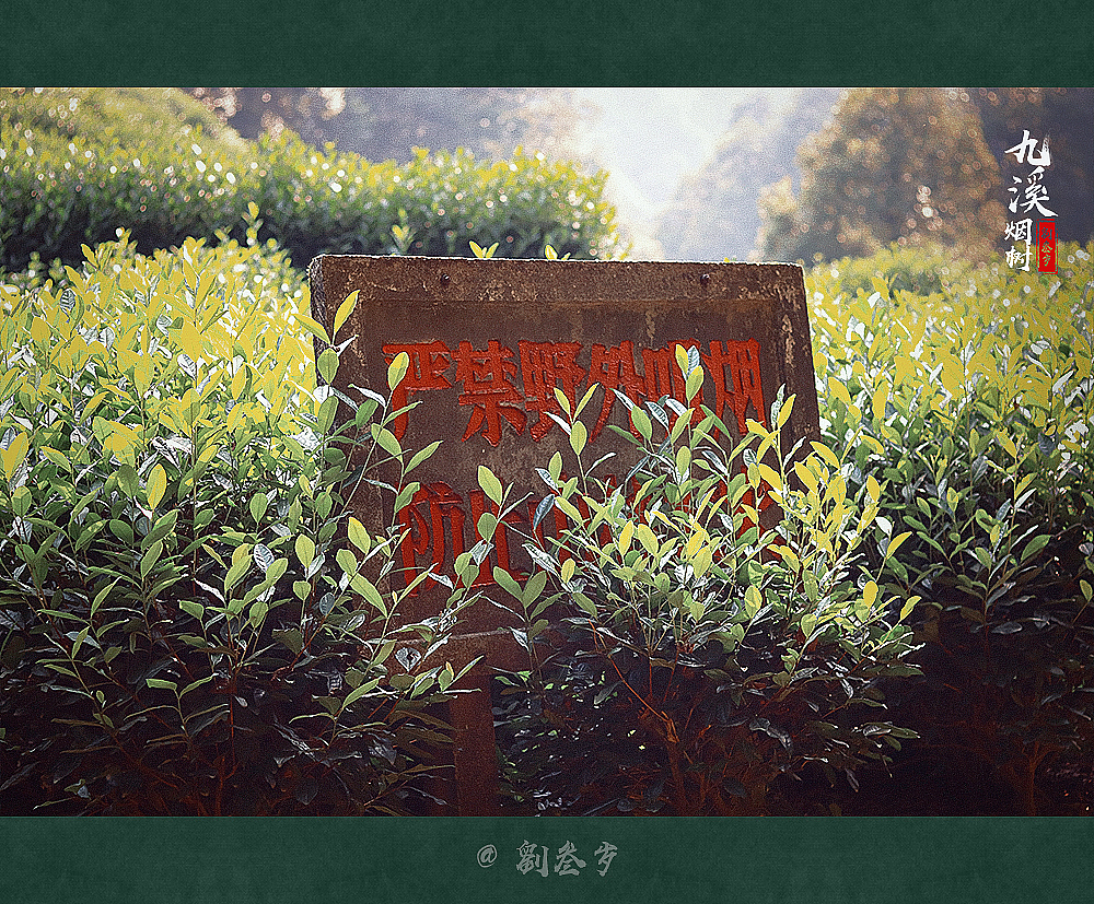 茶叶们都在努力维护碑牌