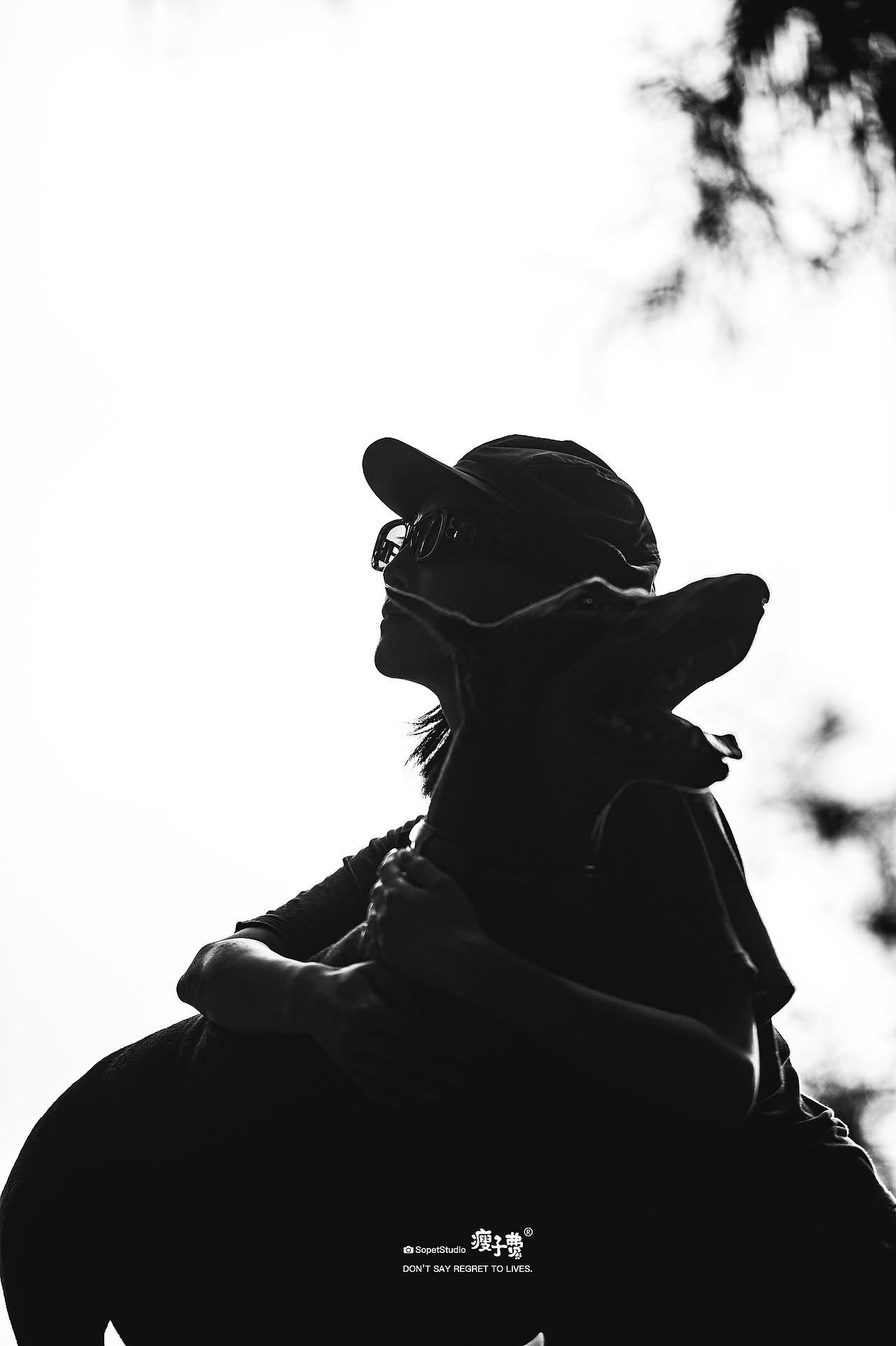 杜宾犬（图ZMzc1NjgwNzc2） - 宠物摄影 - 站酷设计师宠物摄影师瘦子费原创素材 - 站酷ZCOOL