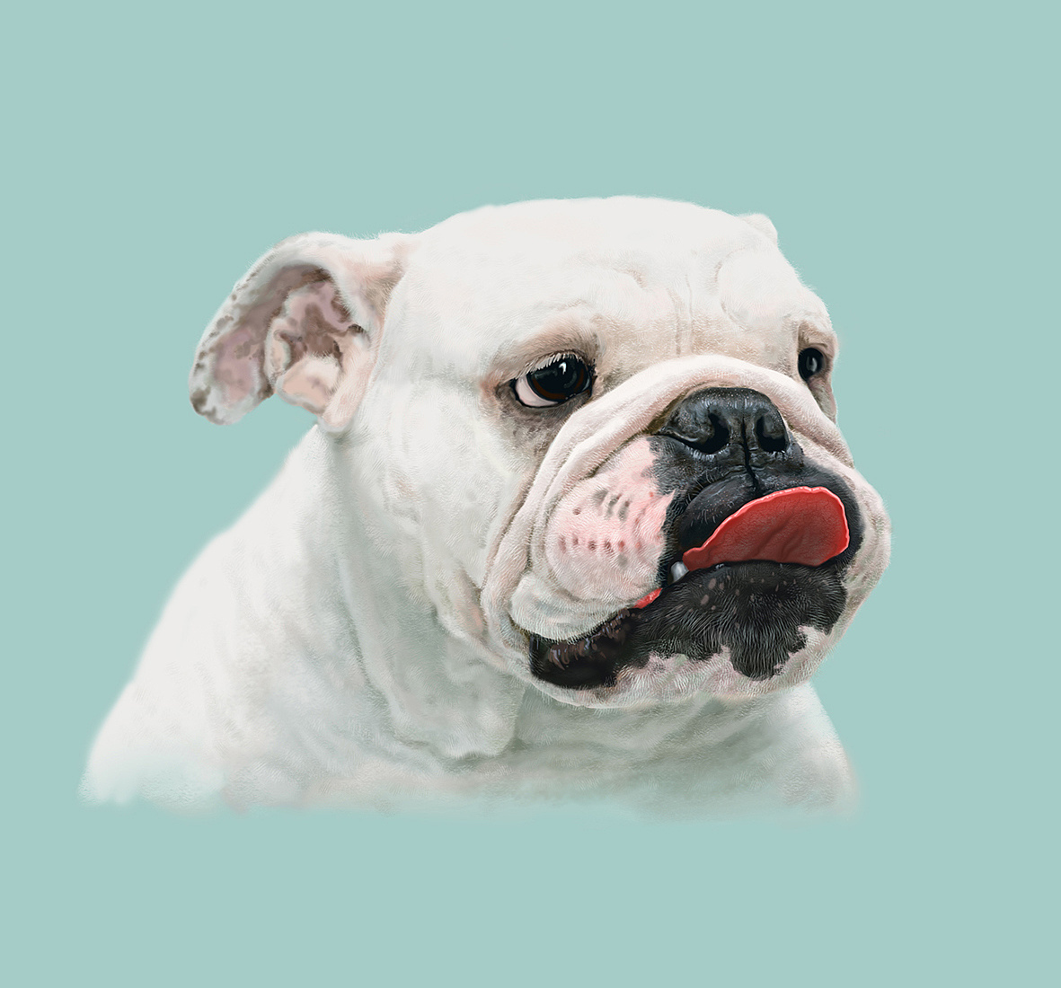 超可爱的狗|插画|插画习作|之风 - 原创作品 - 站酷 (zcool)