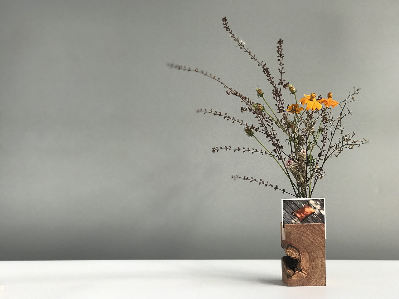 花器 Floral organ（图ZOTg0NTgwMDQ=） - 实验艺术 - 站酷设计师谈木集原创素材 - 站酷ZCOOL