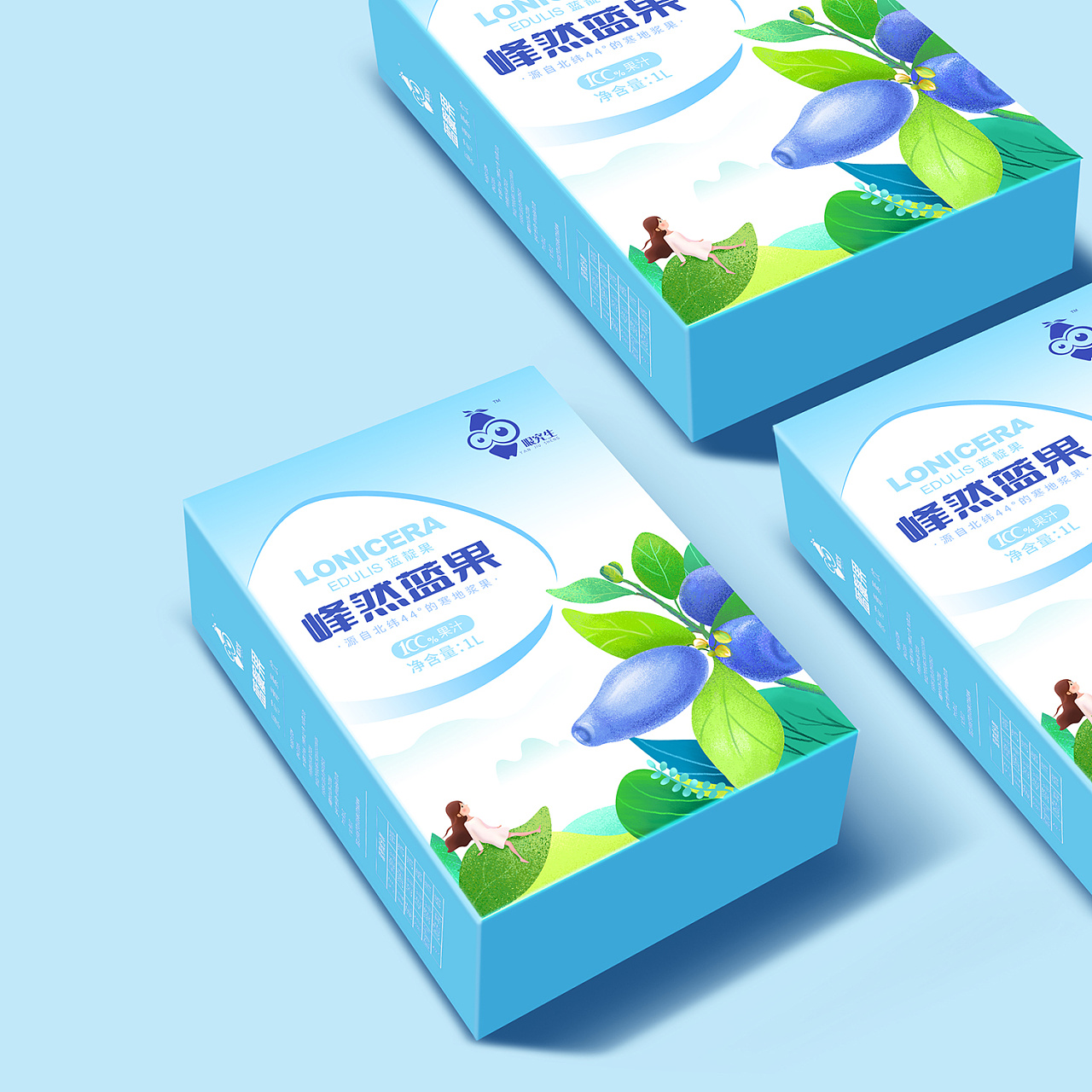 蓝靛果原花青素饮|平面|包装|友鱼品牌设计 - 原创作品 - 站酷 (zcool