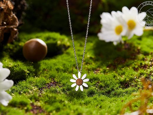 daisy 雏菊 夏天 绿色草地