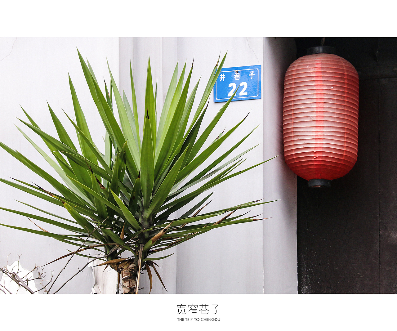 蓉城成都（图ZNDU0OTc3NjQ=） - 风光摄影 - 站酷设计师十一月的疯子原创素材 - 站酷ZCOOL