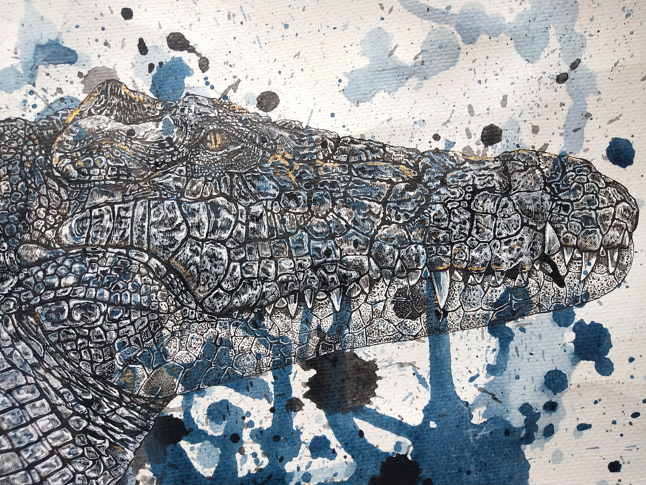 山海经 金甲鼍龙