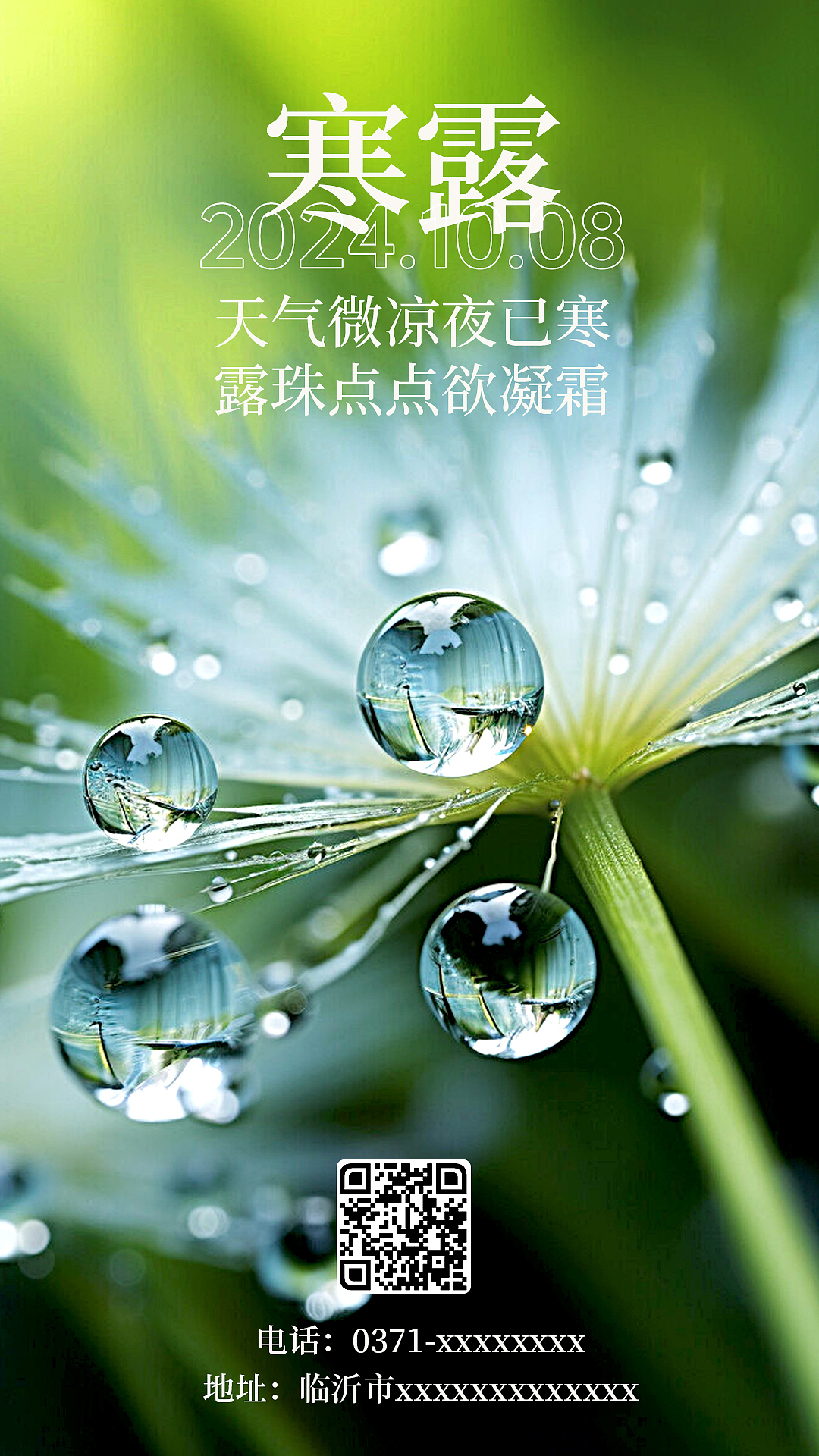 24节气海报之寒露