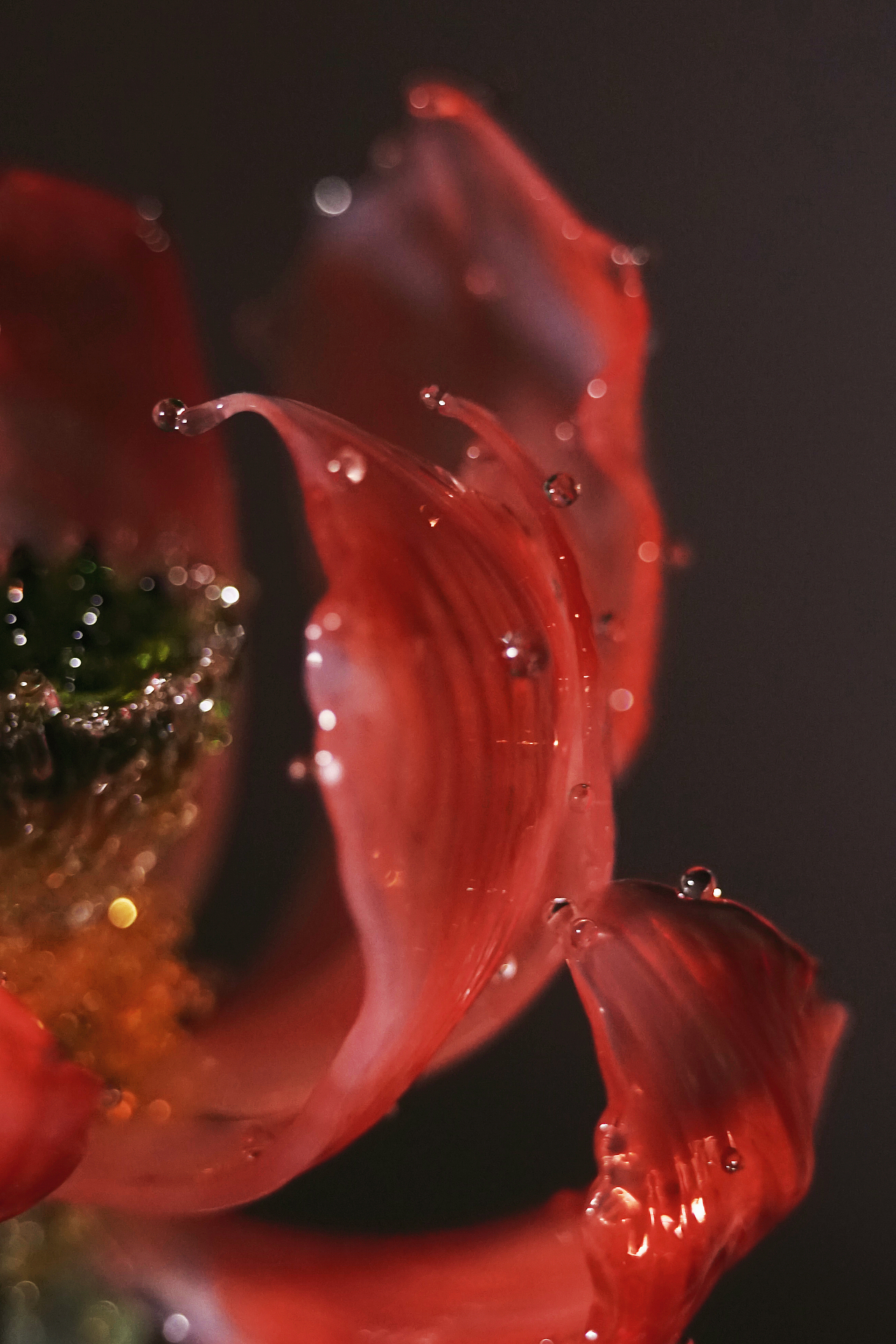 琉璃手作，《荷韵》（图ZMzQ3OTE5NzEy） - 工艺品设计 - 站酷设计师夜莺琉璃原创素材 - 站酷ZCOOL