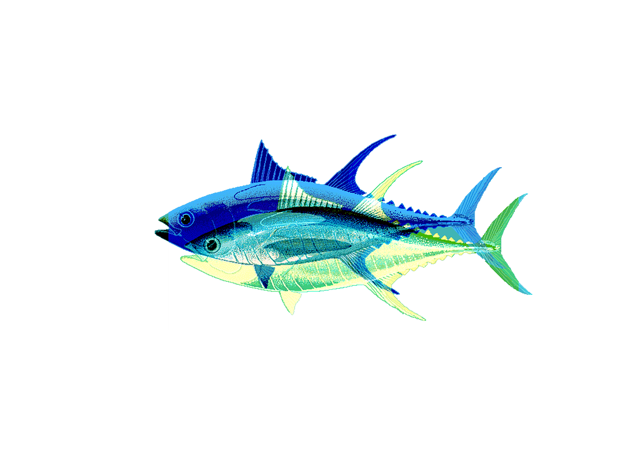 鱼罐头 包装设计