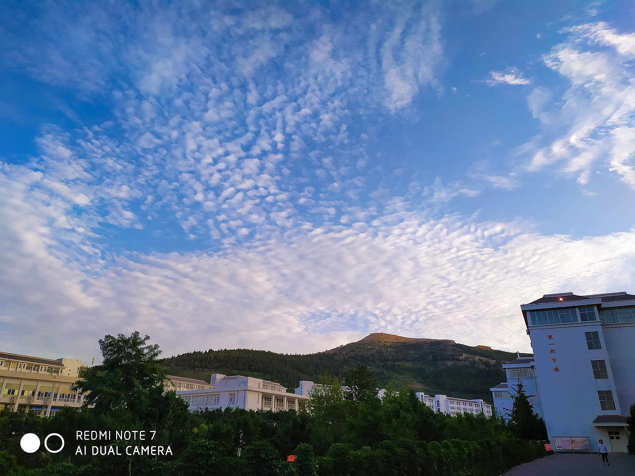 纪念那段美好的校园时光 手机摄影（图ZMjE5OTI3OTQ4） - 风光摄影 - 站酷设计师丶王小伟原创素材 - 站酷ZCOOL