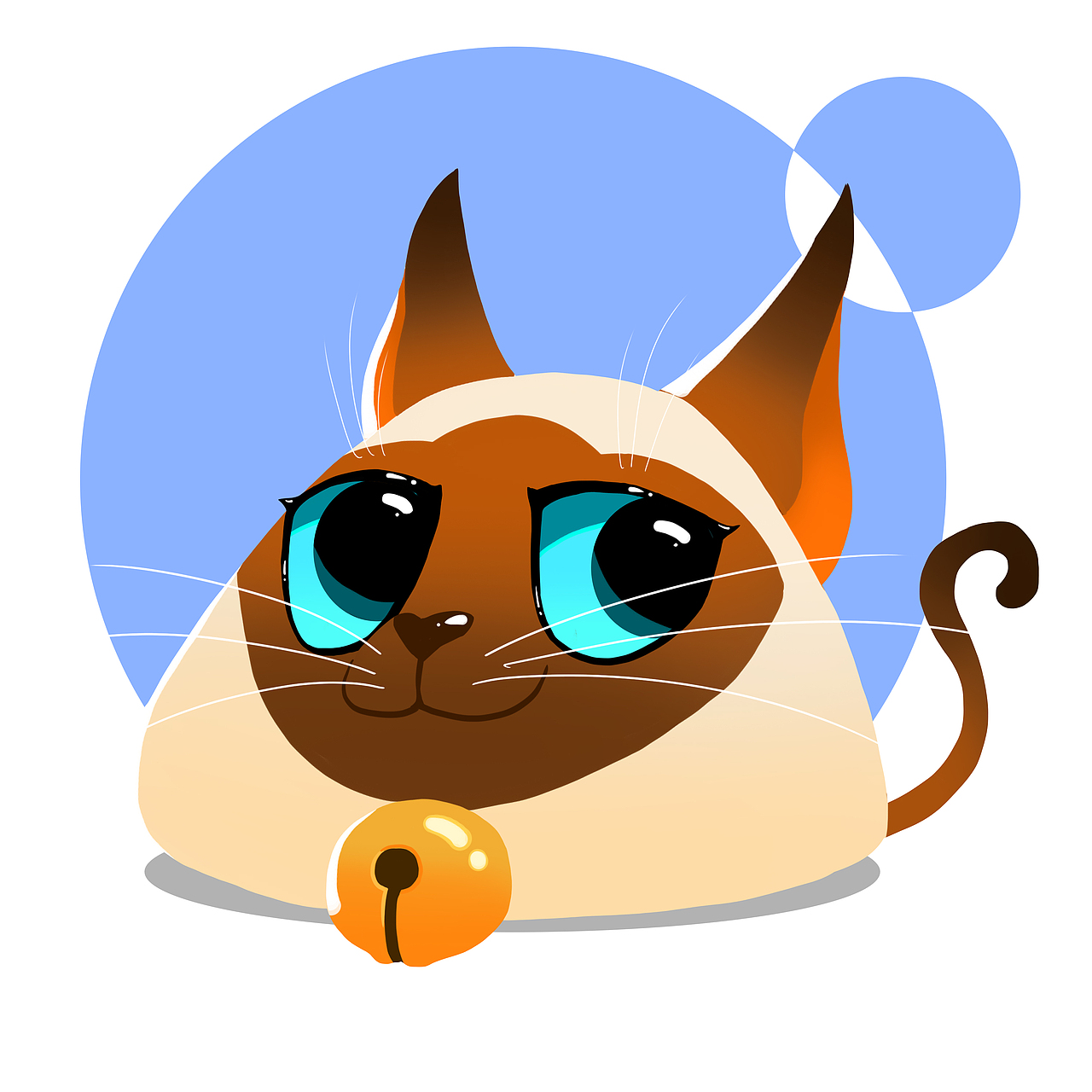 猫咪系列暹罗猫