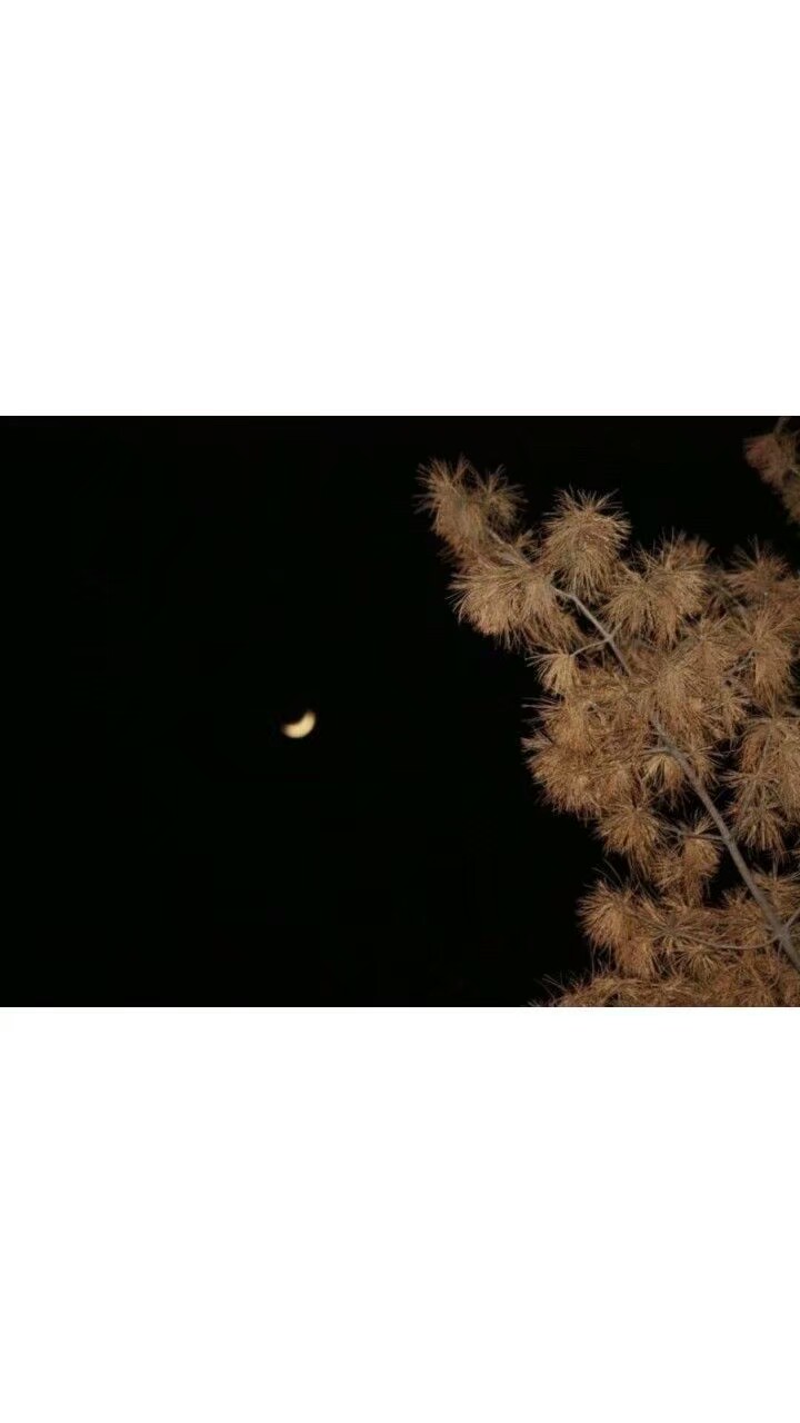 鸦青007的个人主页（封面预览） - 主页封面设置 - 站酷设计师鸦青007原创素材 - 站酷ZCOOL