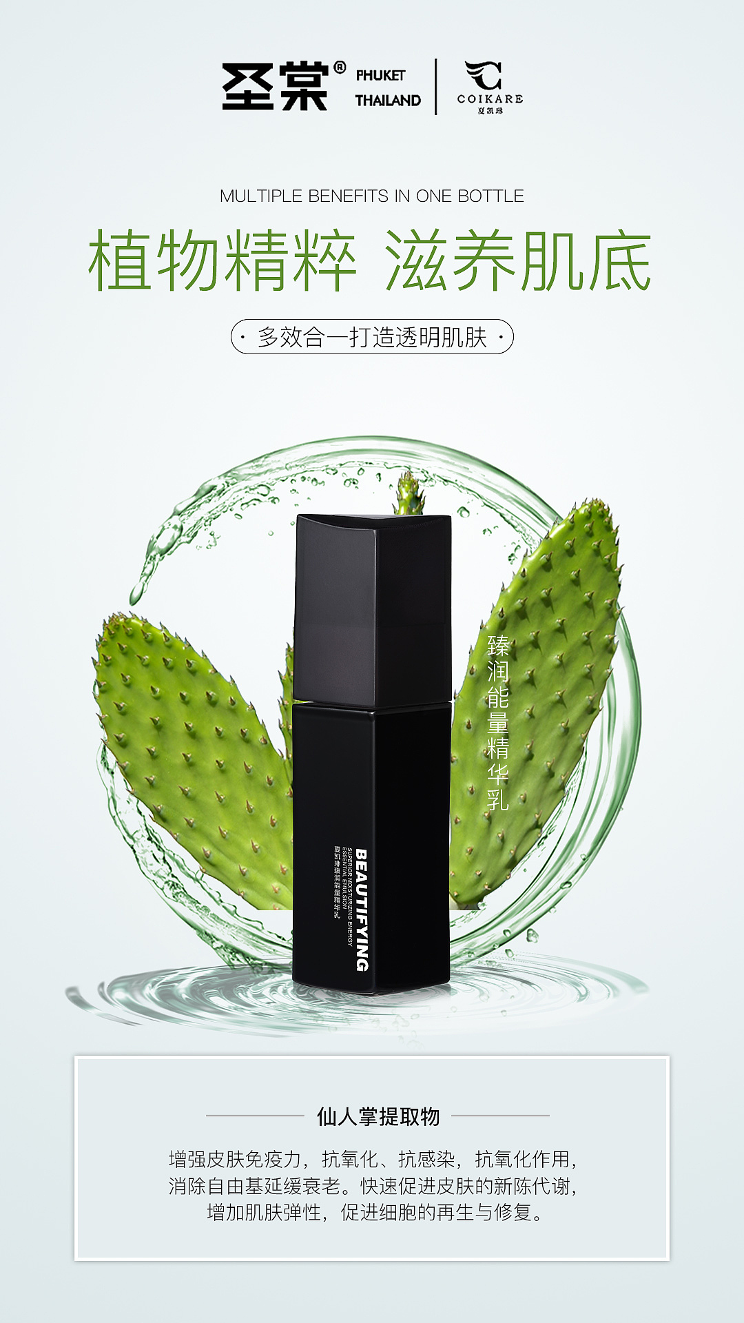 臻润能量精华乳