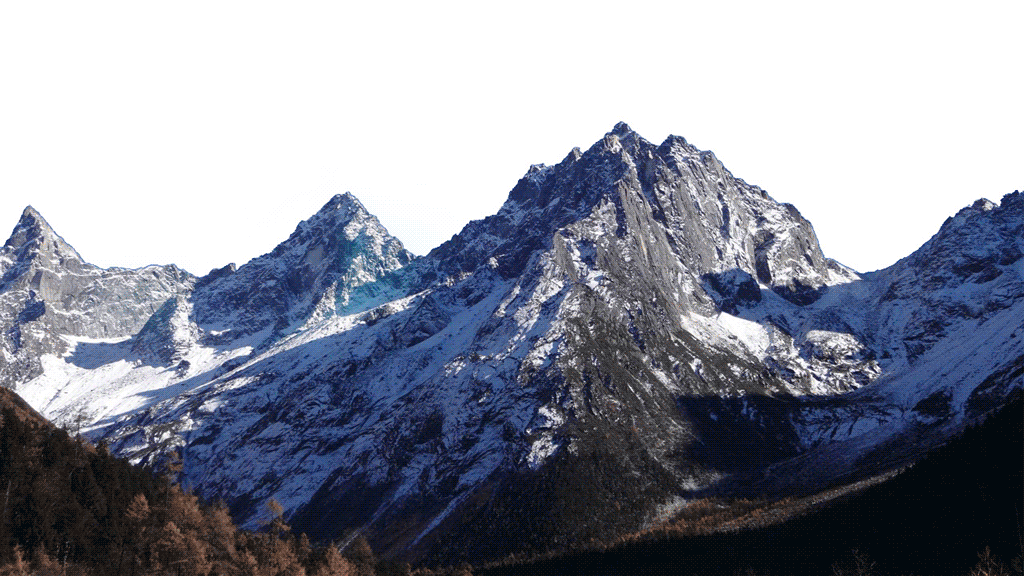 一色一物一夜已成空