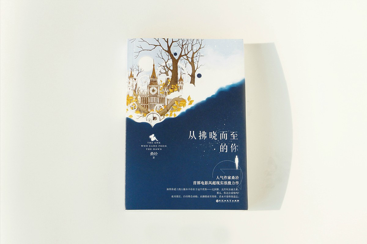 一些商业（封面）插画（图ZMTA4MTQyMzY0） - 商业插画 - 站酷设计师starry阿星原创素材 - 站酷ZCOOL