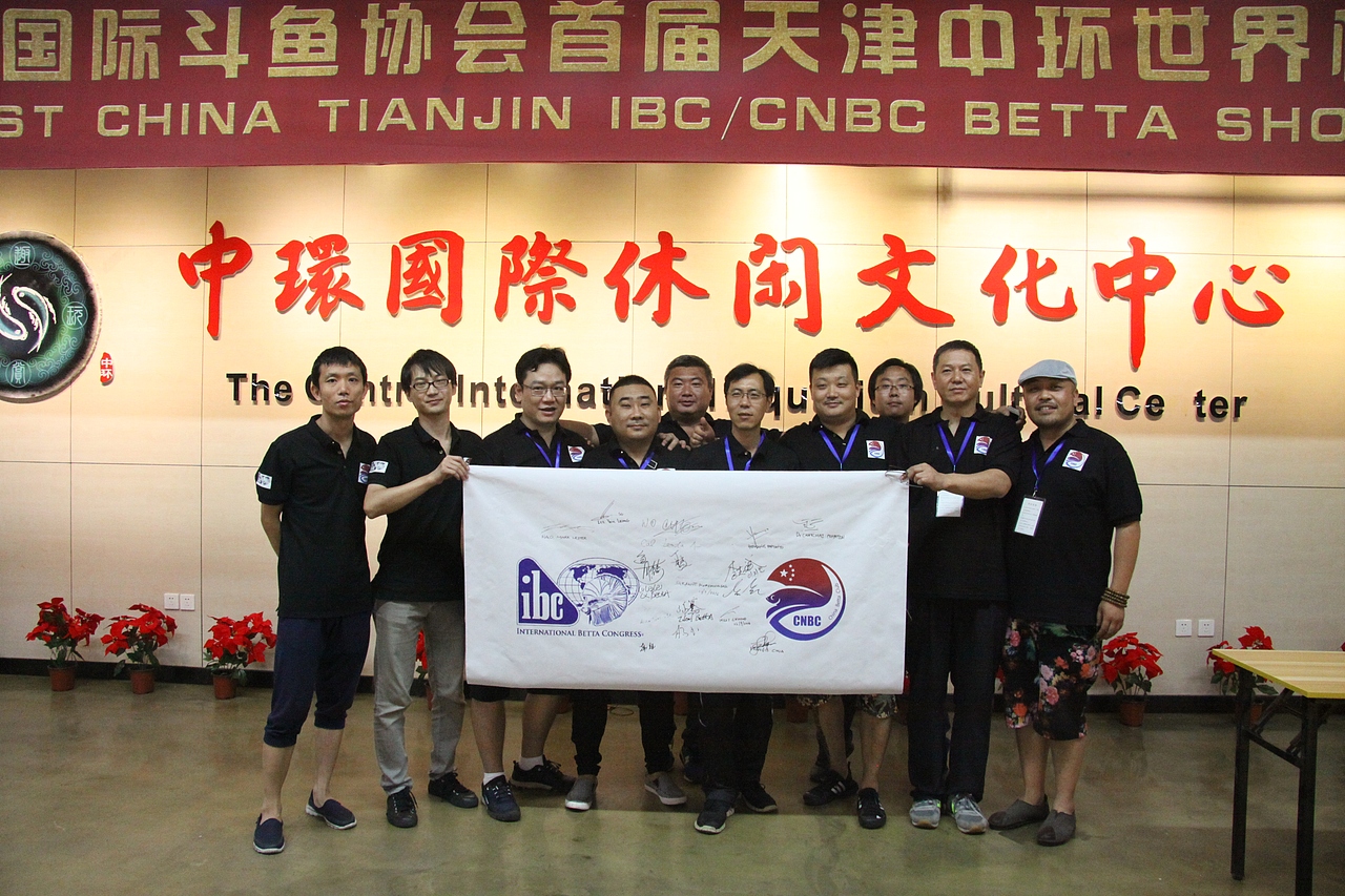 参赛重要环节一