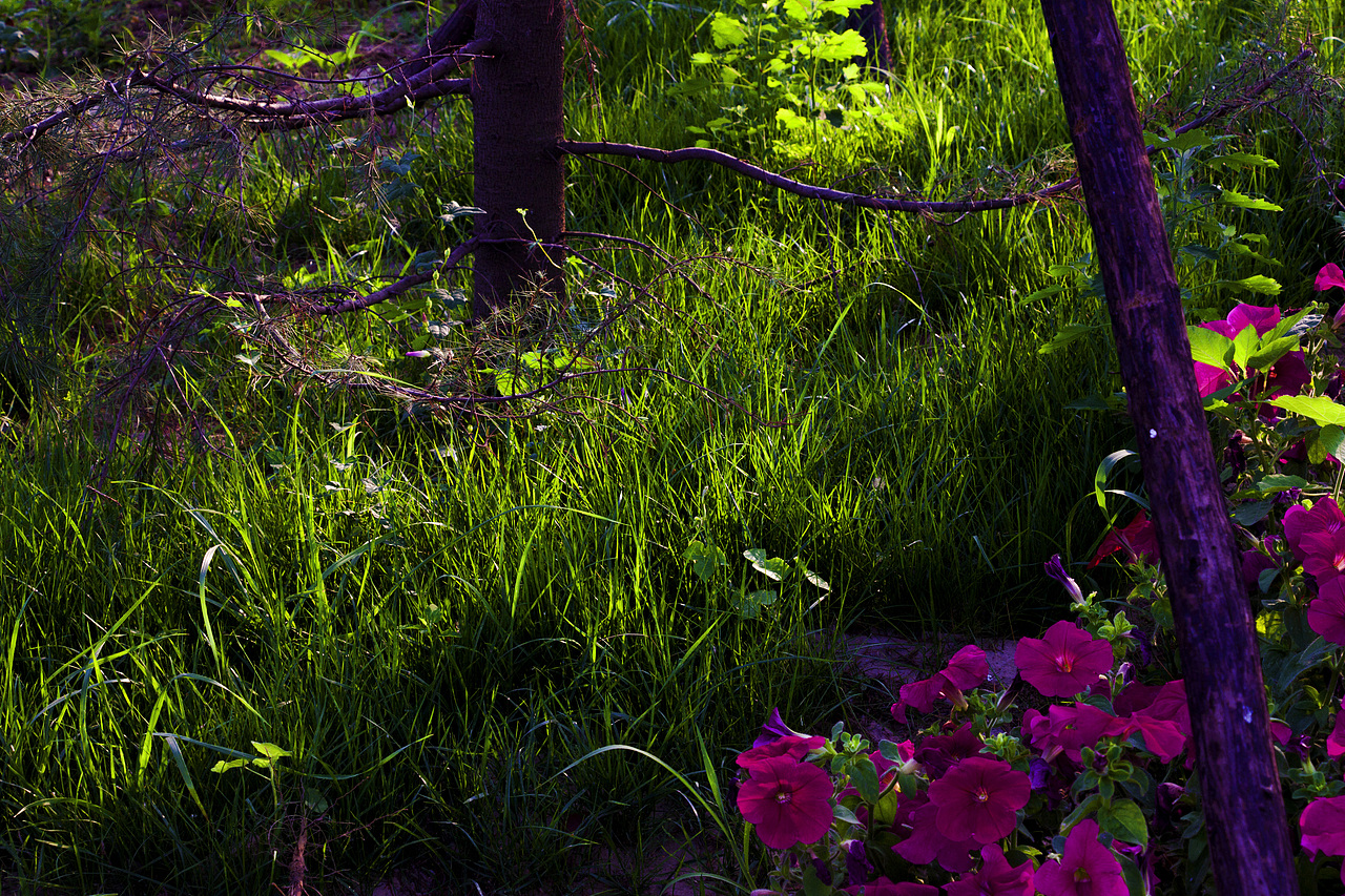 2017总结（图ZMTA4NTMwNDM2） - 风光摄影 - 站酷设计师七月凉风原创素材 - 站酷ZCOOL