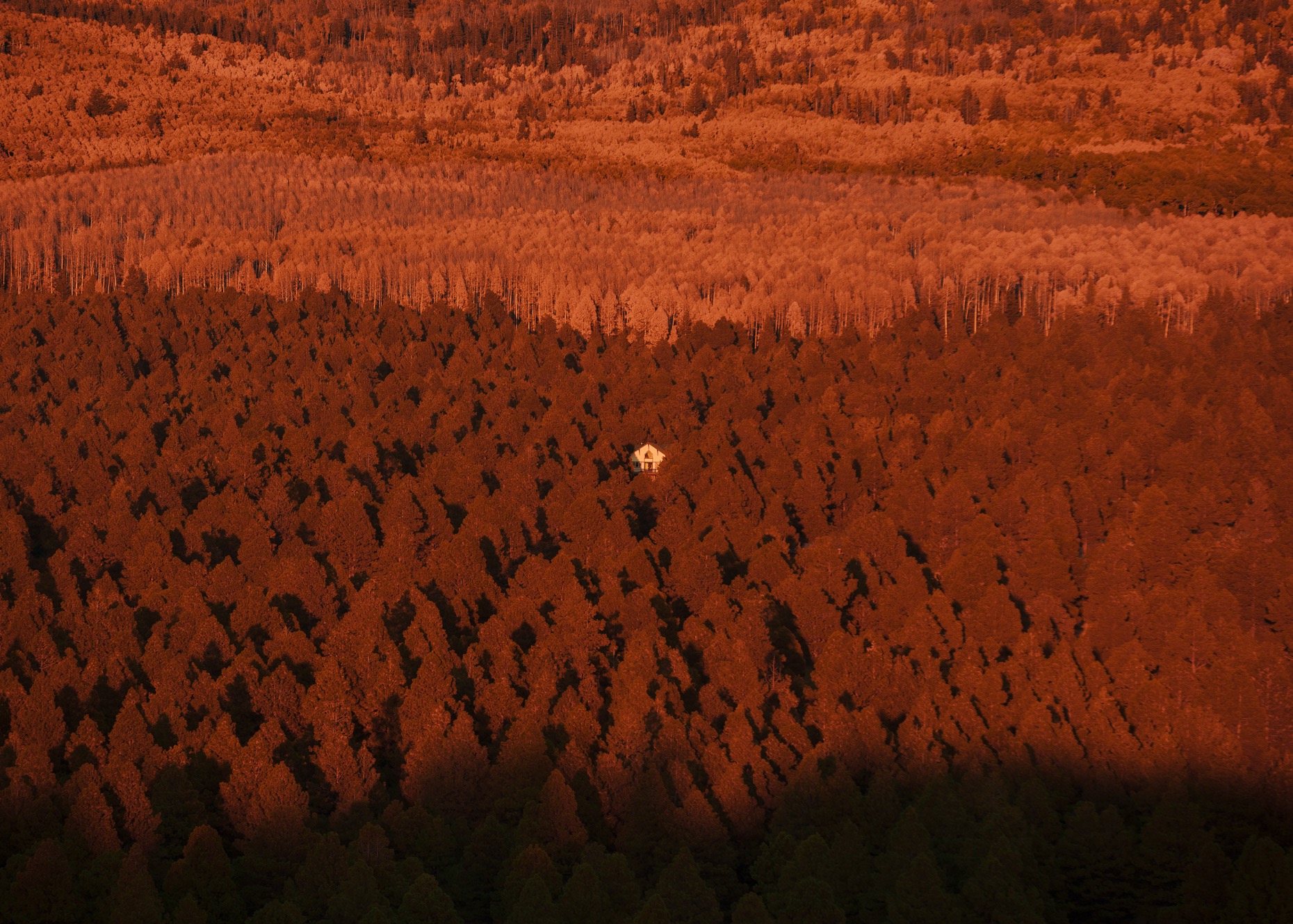 芋泥麻薯酱的个人主页（封面预览） - 主页封面设置 - 站酷设计师芋泥麻薯酱原创素材 - 站酷ZCOOL