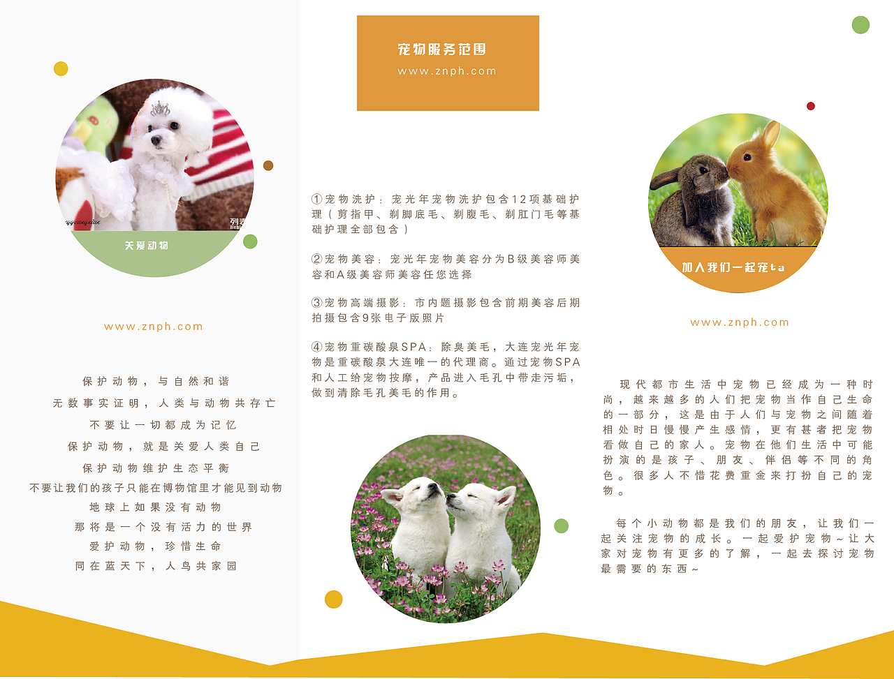折页篇（图ZNTgxMTgwMDQ=） - 宣传物料 - 站酷设计师152brightmoon原创素材 - 站酷ZCOOL