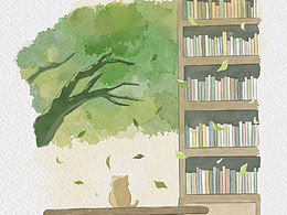 午后图书馆的氛围感