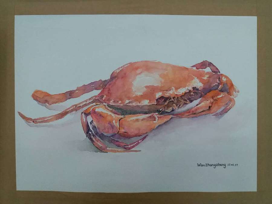 光遇9.9复刻先祖|《光遇》4.20复刻始祖位置详情2023