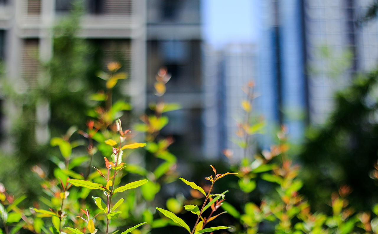 古色（图ZNDk5NDYyODQ=） - 其他摄影 - 站酷设计师Walker_Man原创素材 - 站酷ZCOOL