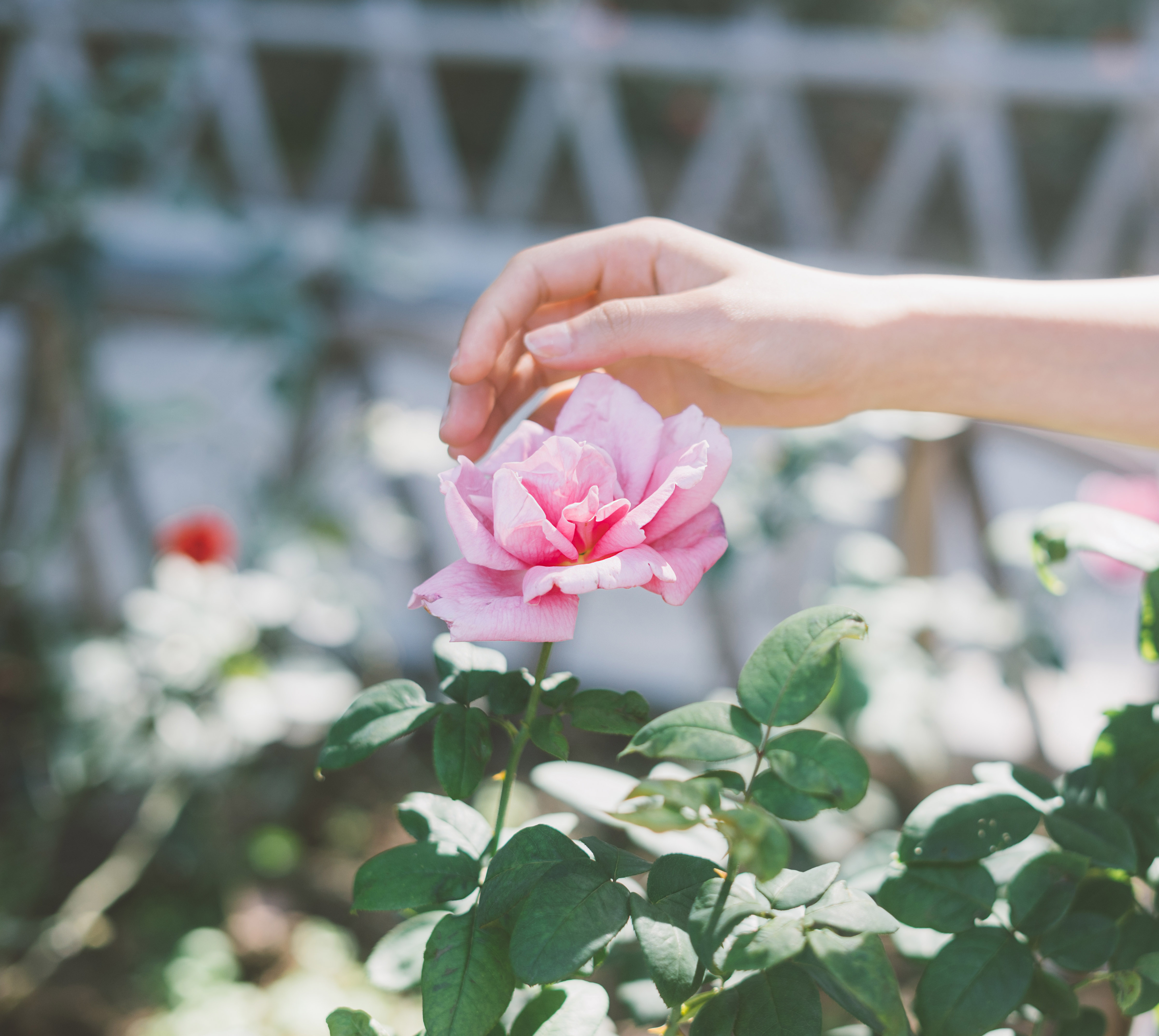 甄小八的個(gè)人主頁（封面預(yù)覽） - 主頁封面設(shè)置 - 站酷設(shè)計(jì)師甄小八原創(chuàng)素材 - 站酷ZCOOL