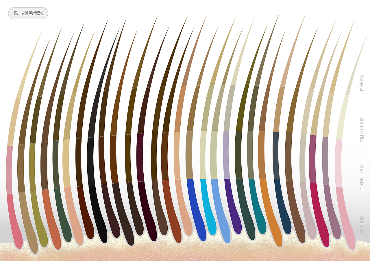 他们的染发选择信息可视化设计（国内人群）（图ZMzA2ODU0NjEy） - 其他平面 - 站酷设计师SigridChang原创素材 - 站酷ZCOOL