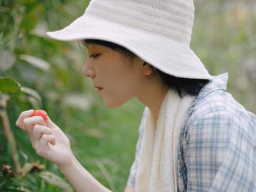 拾夏知味