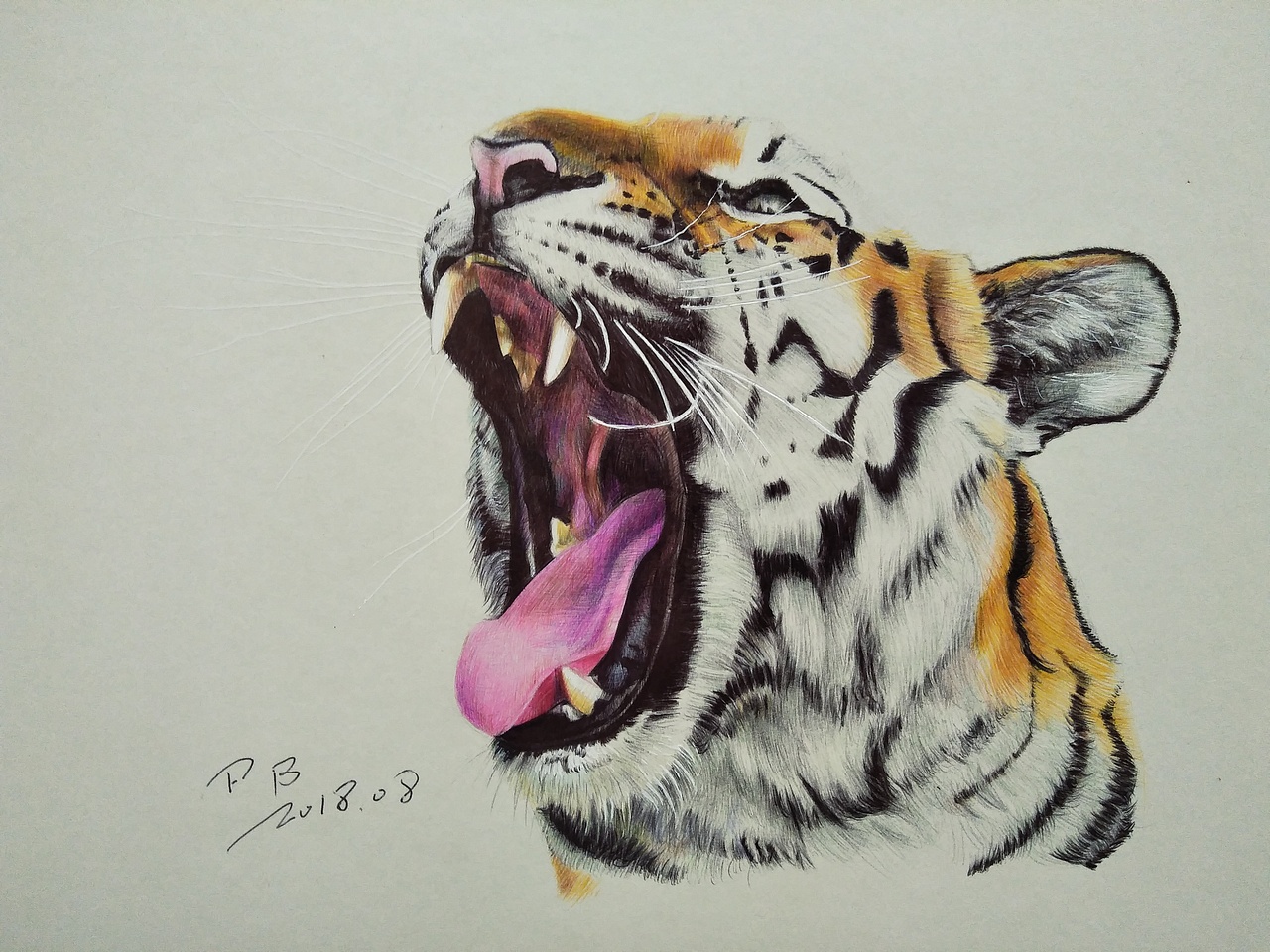 彩色圆珠笔画动物篇