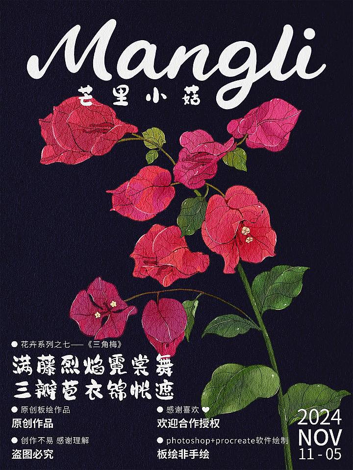 原创插画花卉系列之七——《三角梅》