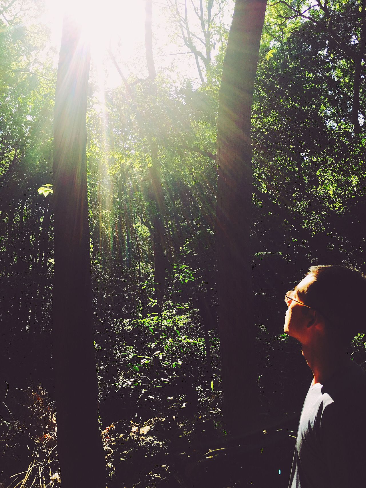 加了一个滤镜,有木有种文艺小清新~