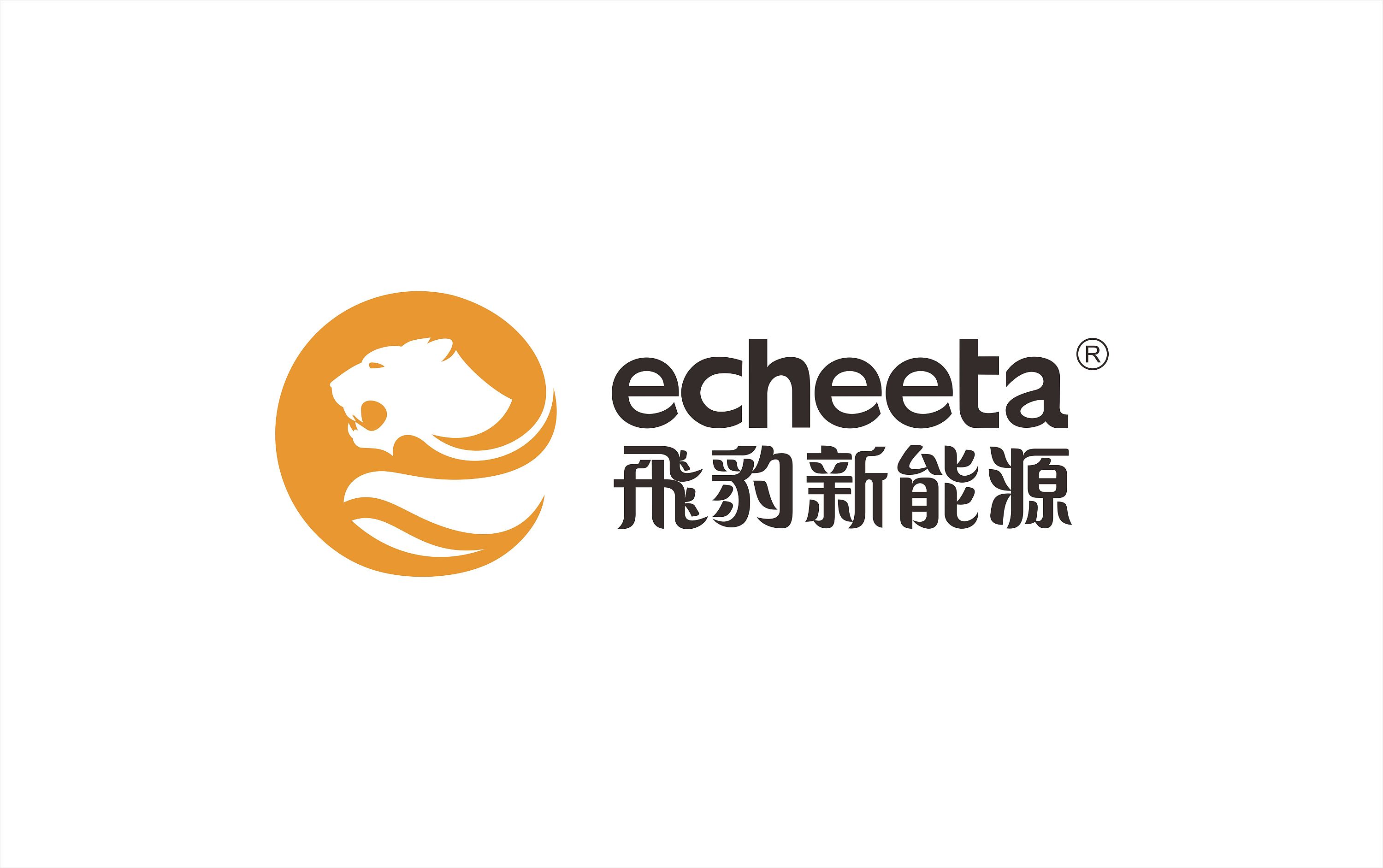 飞豹新能源 logo