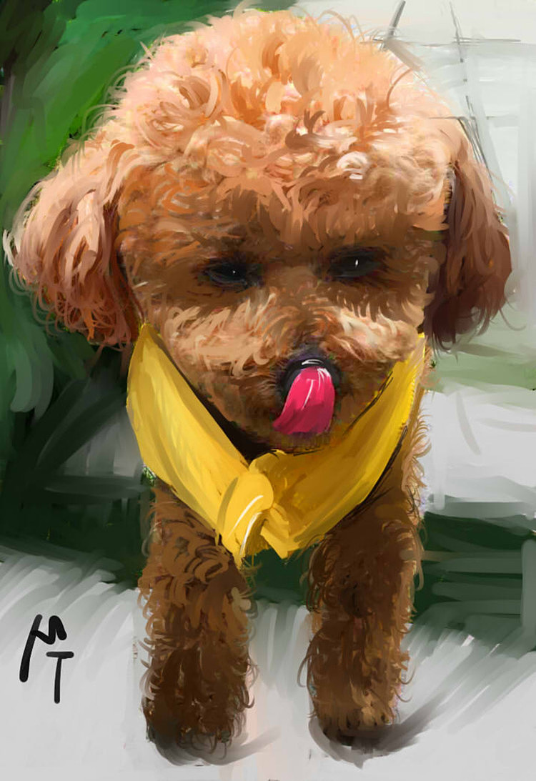 我家那只名叫mt的泰迪犬,属性也是完全贯彻了那只牛头的.